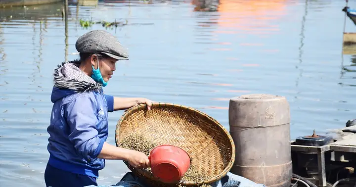 Làng Hến Bên Cầu Gò Nổi