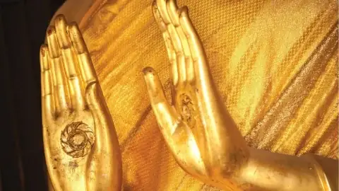 Phải Chăng Việc Dâng Hoa Cúng Dường Tam Bảo Thực Sự Mang Lại Phước Báo Cho Kiếp Sau?