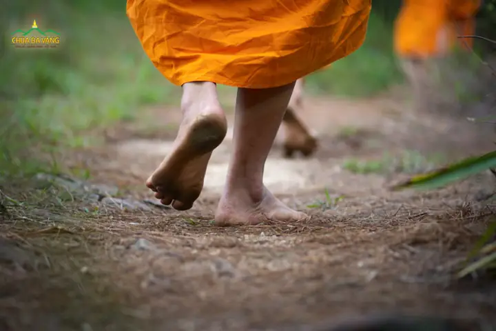 Ý Nghĩa Và Cách Thức Thực Hiện Nghi Lễ Đặt Bát Cúng Dường Chư Tăng Tu Hạnh Đầu Đà