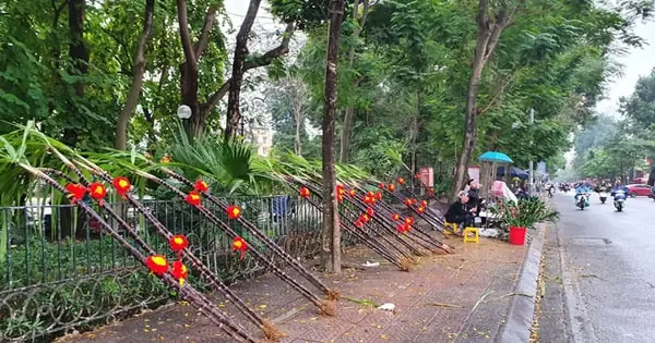 Đặt Gà Cúng Chiều 30: Những Quy Tắc Chuẩn Mực Và Ý Nghĩa Tâm Linh