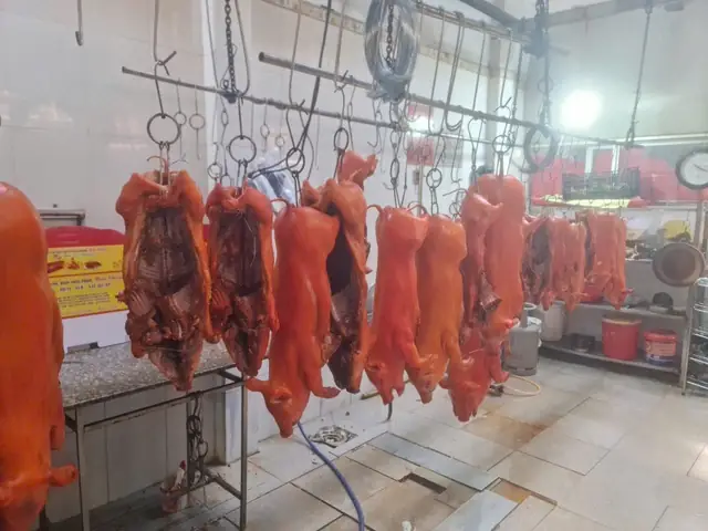 Top 5+ Địa Chỉ Đặt Heo Quay Cúng Châu Đốc Ngon, Uy Tín Nhất (cập Nhật 2026)