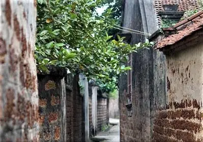 Ý Nghĩa Của Việc Để Lại Toàn Bộ Di Sản Cho Việc Thờ Cúng