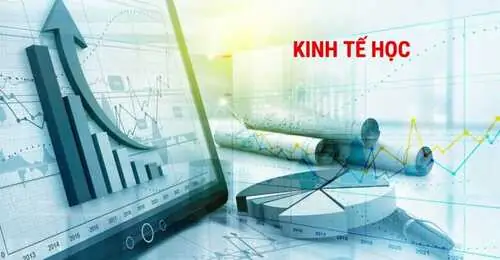 Đề Tính Cưng Chuẩn Tế Vector: Câu Chuyện Về Giá Trị Và Cách Thức Triển Khai