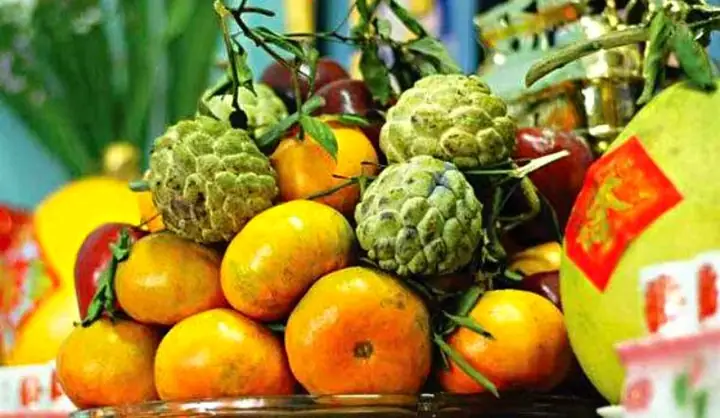 Review Top 5 Đĩa Trái Cây Cúng Tốt Nhất: Chất Lượng, Ý Nghĩa Và Giá Trị Tâm Linh