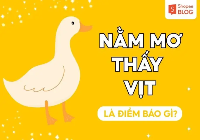 Điềm Báo Nằm Mơ Thấy Vịt Vàng: Giải Mã Ý Nghĩa Và Những Con Số May Mắn