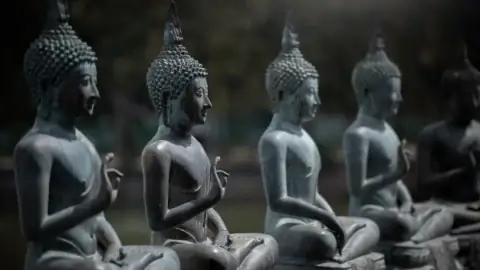 Kinh Bách Dụ: Đầu Rắn Và Đuôi Rắn Giành Nhau Đi Trước