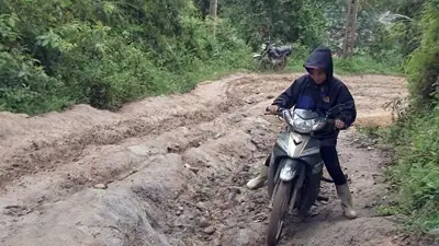 Đỉnh Lùng Cúng Phẳng: Khám Phá Top 5 Loại Nồi Nấu Ngon, Bổ, Rẻ Cho Gia Đình