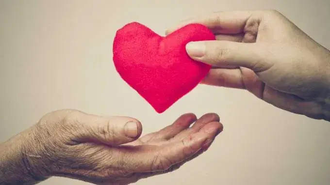 Top 5 Mâm Cỗ Chay Mùng 1 Đầy Đủ, Ngon Mắt Dành Cho Gia Đình Việt