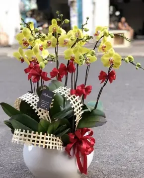 Top 15+ Mâm Cúng Đám Giỗ Đầy Đủ, Ý Nghĩa Cho Người Tham Gia