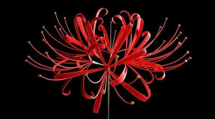 Các Thuật Ngữ Tiếng Anh Thông Dụng Về Đồ Cúng Tâm Linh Bạn Cần Biết