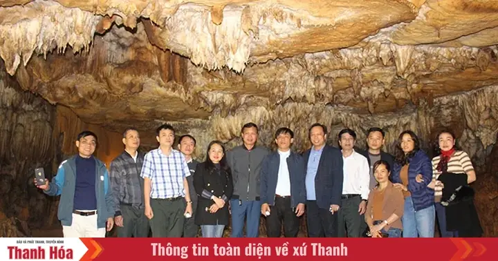 Đánh Giá Chi Tiết Các Loại Động Bò Cúng Thanh Hoá: Nên Chọn Loại Nào Cho Đúng Chuẩn?