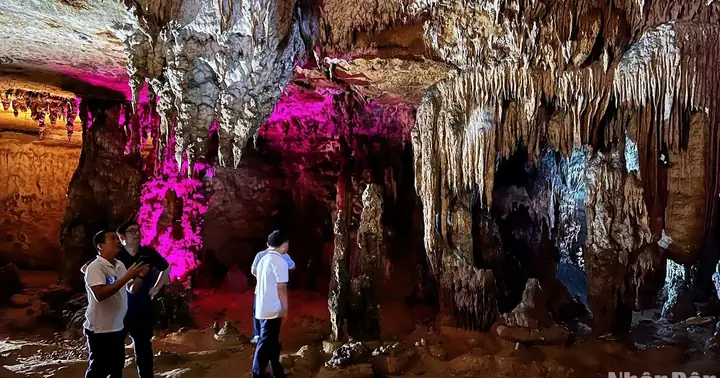 Đánh Giá Chi Tiết Các Loại Động Bò Cúng Thanh Hoá: Nên Chọn Loại Nào Cho Đúng Chuẩn?