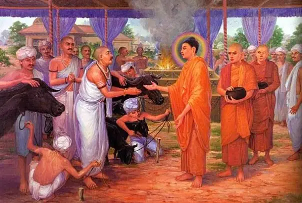 Bài Học Nhẫn Nhịn: Đức Phật Thọ Nhận Cúng Dường Thức Ăn Cho Ngựa Trong Giai Đoạn Khó Khăn