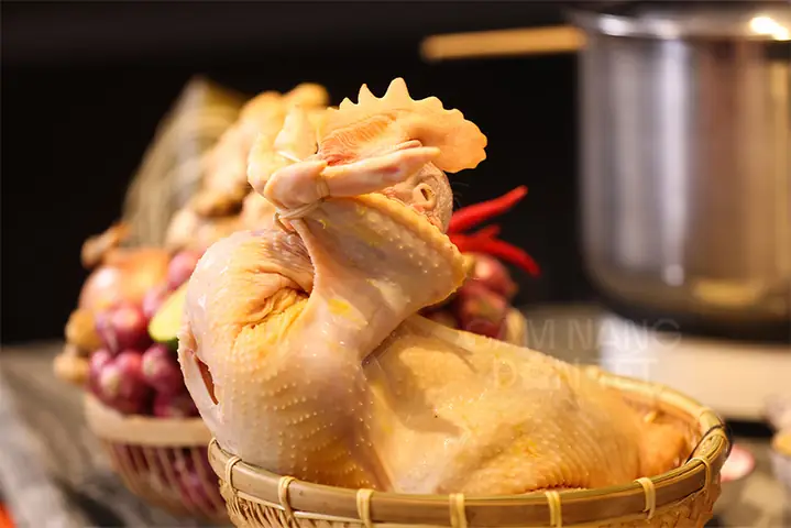 Gà Cúng Đẹp Mắt