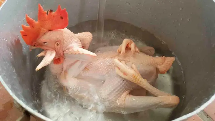 Top 5+ Cách Tạo Dáng Gà Cúng Giao Thừa Đẹp, Tài Lộc Đầy Nhà