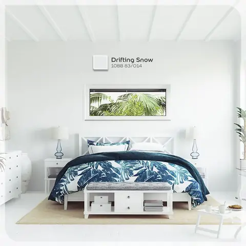 93245929_2897636686972374_729577307068432384_o-4