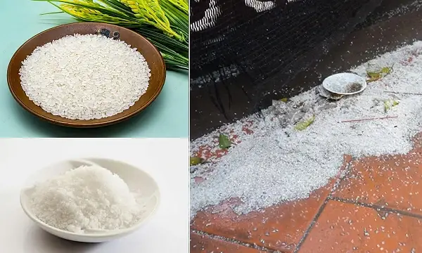 Ý Nghĩa Và Cách Thức Sử Dụng Gạo Muối Trong Lễ Cúng Đầy Tháng Cho Bé