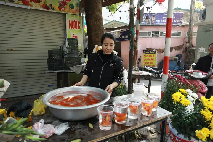 Giá Cá Chép Cúng Ông Táo Năm 2026: Thực Trạng Và Những Lưu Ý Quan Trọng Cho Người Mua