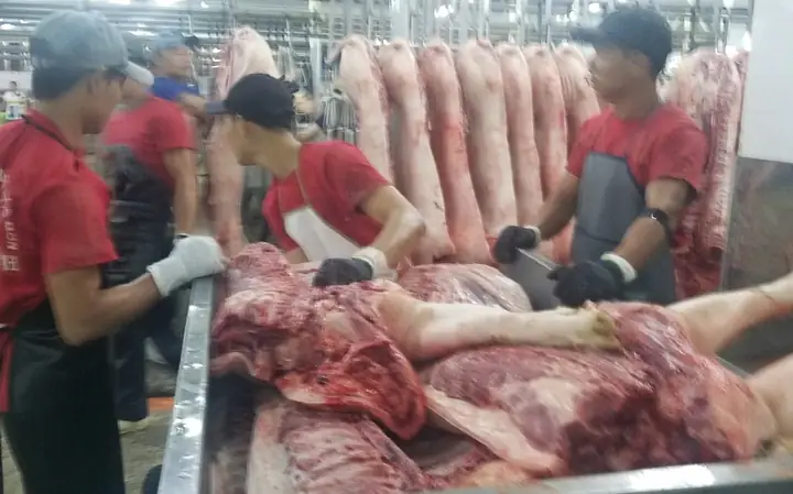 Top 5 Món Gà Cúng Tết: Giá Bao Nhiêu, Mua Ở Đâu Uy Tín?