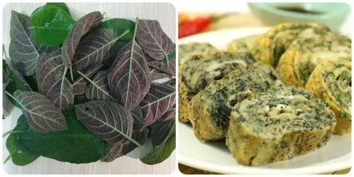 Lá Mơ Lông: Giải Mã Toàn Tập Giá Trị Phong Thủy Và Cách Sử Dụng Hiệu Quả