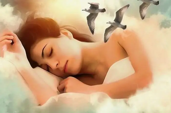 Giải Mã Giấc Mơ Đi Cau: Tâm Linh, Tâm Lý Học Và Bí Quyết Ứng Dụng