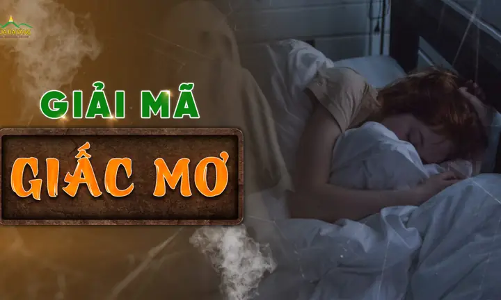 Giải Mã Giấc Mơ Đi Cau: Tâm Linh, Tâm Lý Học Và Bí Quyết Ứng Dụng