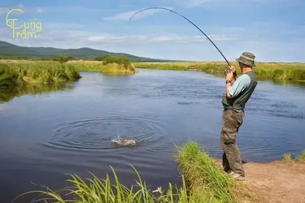 Giải Mã Giấc Mơ Đi Cau: Tâm Linh, Tâm Lý Học Và Bí Quyết Ứng Dụng
