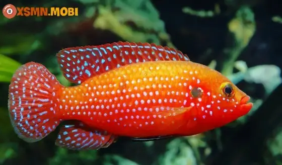 Giải Mã Giấc Mơ Trắng Đen: Nguyên Nhân Khoa Học Và Ý Nghĩa Tâm Linh Bạn Cần Biết