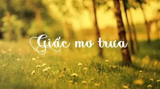 Giấc Mơ Trưa Có Thật Không? Sự Thật Khoa Học Đằng Sau Giấc Ngủ Ban Ngày