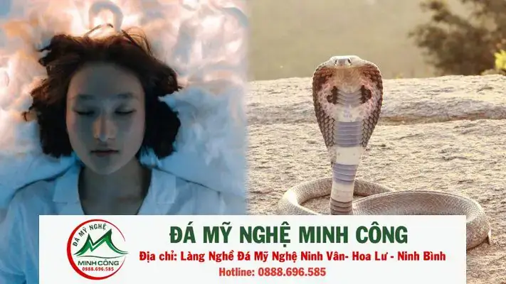 Giải Mã Giấc Mơ Bắt Được 2 Con Rắn: Điềm Lành Hay Dữ?