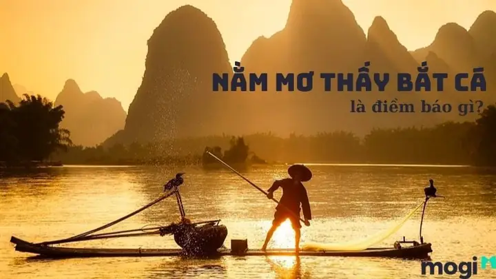 Giải Mã Giấc Mơ Bắt Được Nhiều Cá: Điềm Báo Gì Và Con Số May Mắn?