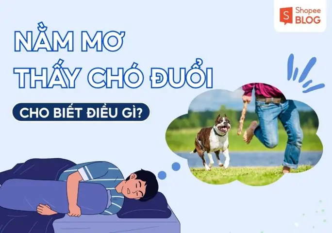 Giải Mã Giấc Mơ Bị Chó Rượt: Tâm Lý Học, Điềm Báo Dân Gian & Cách Xử Lý