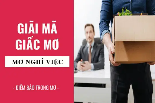 Giải Mã Giấc Mơ Bị Đuổi Việc: Điềm Báo Gì Và Các Con Số Liên Quan