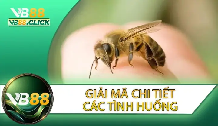 Giải Mã Giấc Mơ Bị Ong Đốt: Điềm Báo Gì Và Lời Cảnh Tỉnh Từ Tiềm Thức