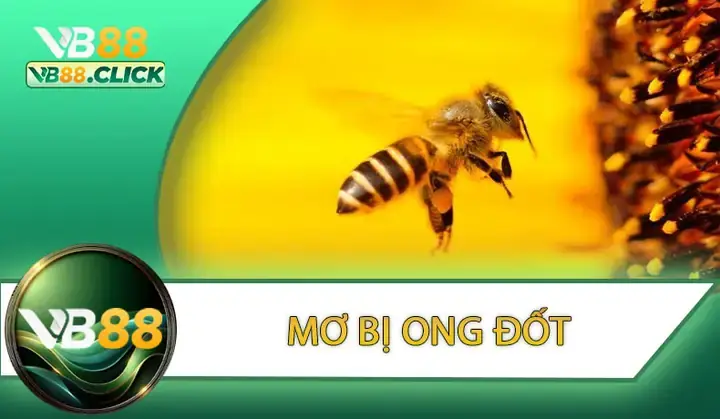 Giải Mã Giấc Mơ Bị Ong Đốt: Điềm Báo Gì Và Lời Cảnh Tỉnh Từ Tiềm Thức