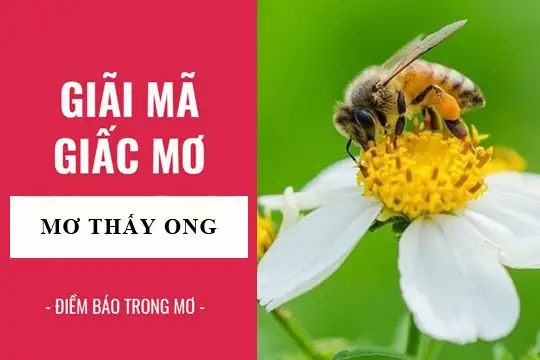 Giải Mã Giấc Mơ Bị Ong Đuổi: Điềm Báo Gì Và Ý Nghĩa Sâu Xa Đằng Sau?