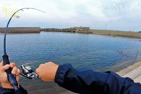 Giải Mã Giấc Mơ Câu Cá: Điềm Báo Gì Và Những Con Số May Mắn Bạn Nên Biết