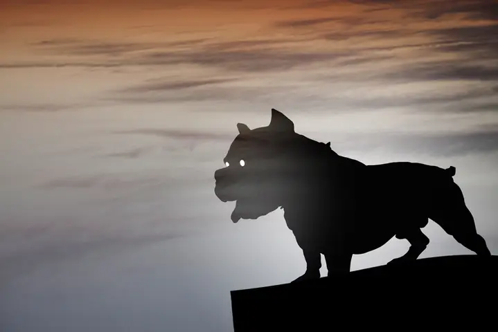 Giải Mã Giấc Mơ Chó Đuổi: Điềm Báo Gì Và Những Con Số May Mắn Liên Quan