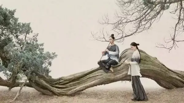 Giải Mã Giấc Mơ Chó Đuổi: Điềm Báo Gì Và Những Con Số May Mắn Liên Quan