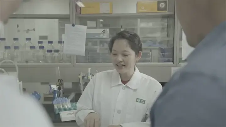 Giải Mã Giấc Mơ Thấy Công Việc Của Chồng: Ngụ Ý Gì Và Nên Làm Gì?