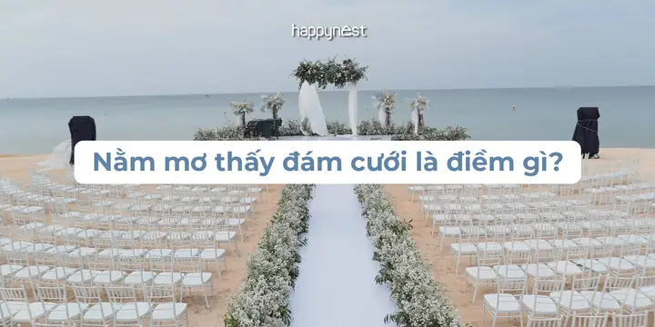 Giải Mã Giấc Mơ Đám Cưới Của Chính Mình: Những Bí Ẩn Tâm Lý Đằng Sau Giấc Mộng Đêm Hè