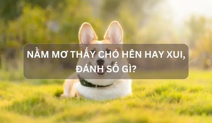 Giải Mã Giấc Mơ Đẹp Nam Mo Thay: Ý Nghĩa Và Thông Điệp Tiềm Ẩn