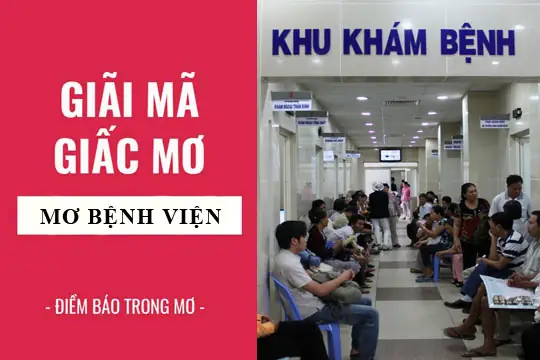 Giải Mã Giấc Mơ Thấy Mẹ Đi Khám Bệnh: Điềm Báo Gì Và Nên Làm Gì?