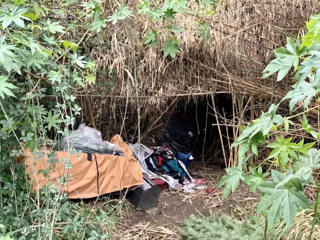 Giải Mã Giấc Mơ Làm Lễ Trừ Tà: Đâu Là Điềm Báo Hay Chỉ Là Sự Phản Ánh Của Tiềm Thức?