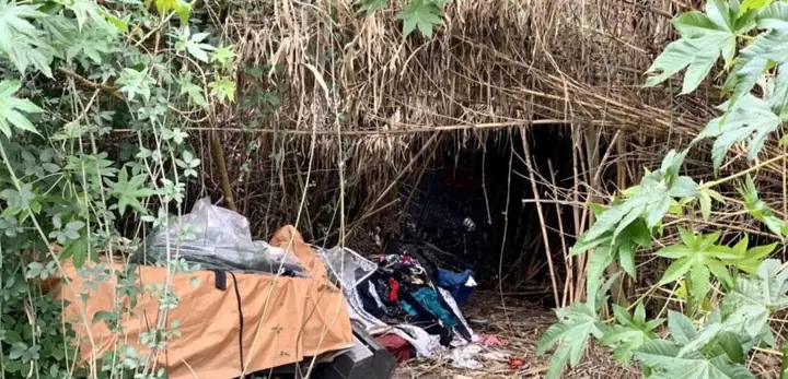 Giải Mã Giấc Mơ Làm Lễ Trừ Tà: Đâu Là Điềm Báo Hay Chỉ Là Sự Phản Ánh Của Tiềm Thức?