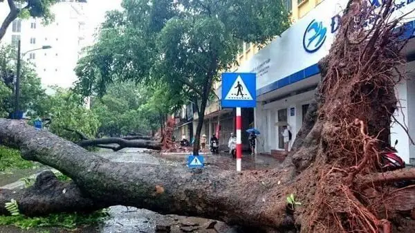 Giải Mã Giấc Mơ Lô Đề Miền Trung: Những Điềm Báo Và Con Số Bạn Cần Biết