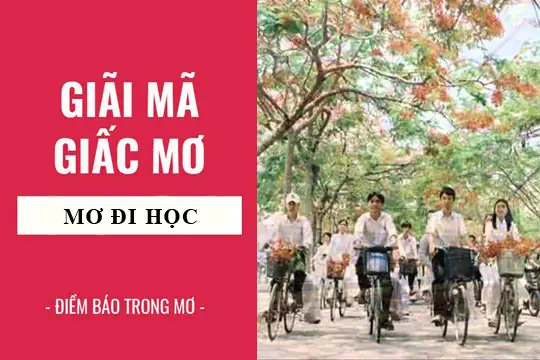 Giải Mã Giấc Mơ Đi Học: Điềm Báo Gì Và Những Con Số May Mắn Ẩn Sau