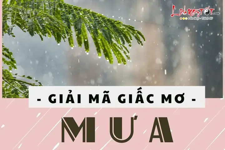 Giải Mã Giấc Mơ Mưa Phùn: Ý Nghĩa Tâm Linh, Tâm Lý & Điềm Báo Tốt Xấu