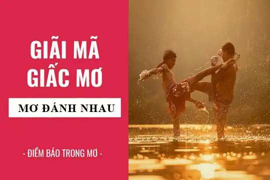 Giải Mã Giấc Mơ Thấy Đánh Nhau: Điềm Báo Gì Và Những Con Số May Mắn Liên Quan