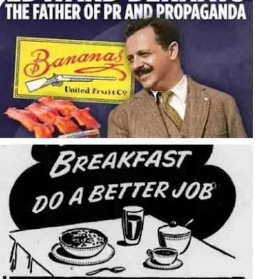 Giải Mã Giấc Mơ Ngủ Ăn Cơm Với Mực: Điềm Báo Gì Và Ý Nghĩa Sâu Xa
